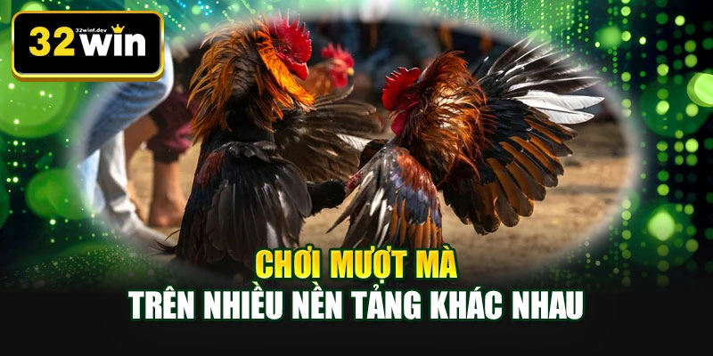 Chơi mượt mà trên nhiều nền tảng khác nhau