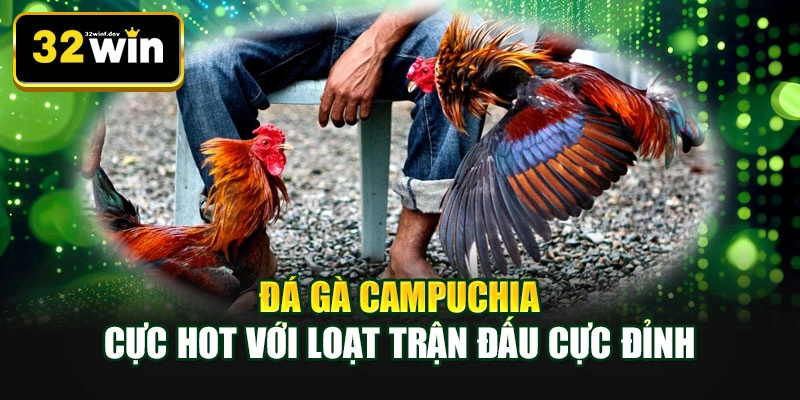 Đá gà Campuchia