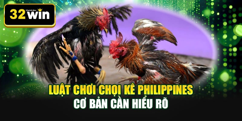 Luật chơi chọi kê Philippines cơ bản cần hiểu rõ