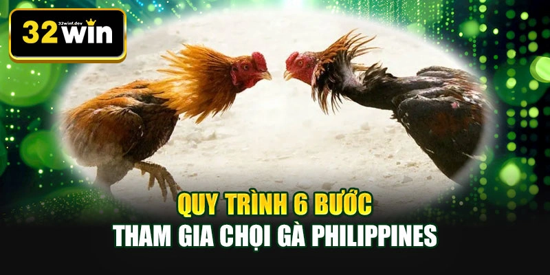 Quy trình 6 bước tham gia chọi gà Philippines
