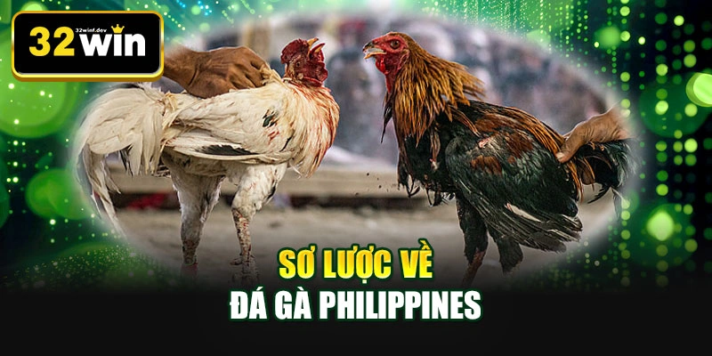 Sơ lược về đá gà Philippines
