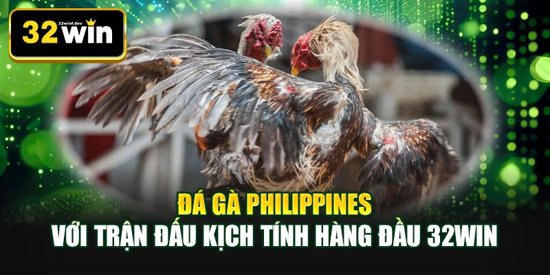 Đá gà Philippines