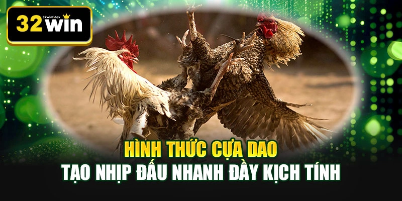 Hình thức cựa dao tạo nhịp đấu nhanh đầy kịch tính